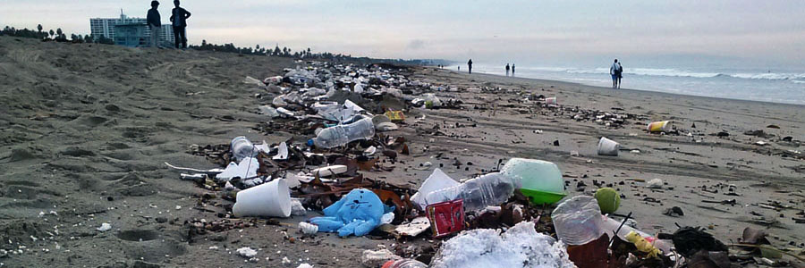 trash-on-the-beach